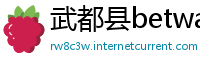武都县betway必威世界杯